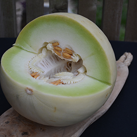 Honeydew Green Flesh, Melon Seeds